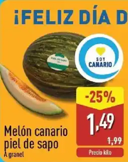ALDI Melón canario piel de sapo oferta