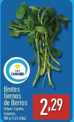 ALDI Brotes tiernos de Berros oferta