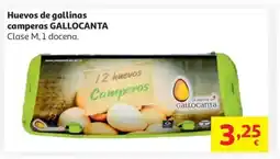 Alcampo GALLOCANTA Huevos de gallinas camperas oferta