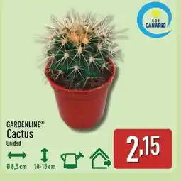 ALDI GARDENLINE Cactus oferta