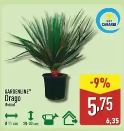 ALDI GARDENLINE Drago oferta