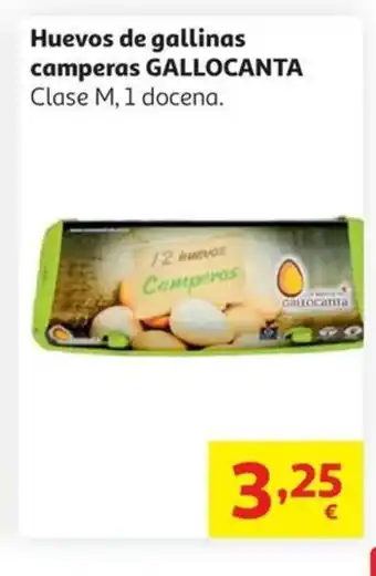 Alcampo GALLOCANTA Huevos de gallinas camperas oferta
