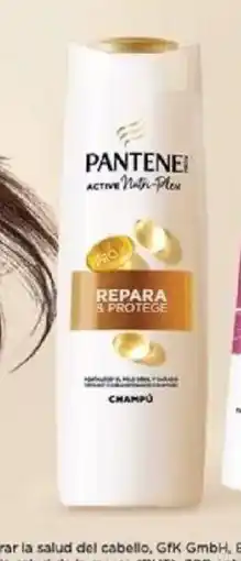 E.Leclerc PANTENE Champú oferta
