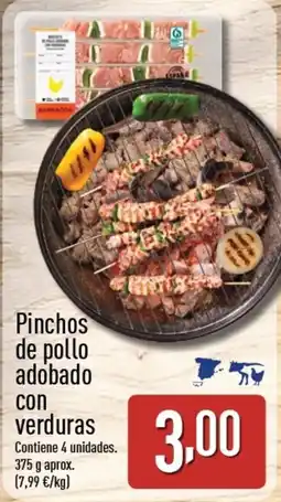ALDI Pinchos de pollo adobado con verduras oferta