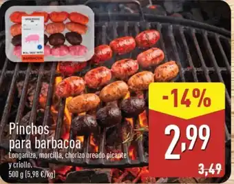 Pinchos para barbacoa