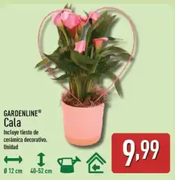 ALDI GARDENLINE Cala oferta