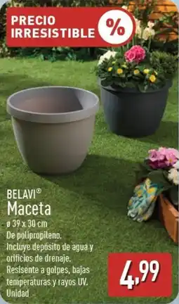 ALDI BELAVI Maceta oferta