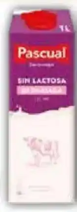 FROIZ PASCUAL Leche sin lactosa Desnatada oferta