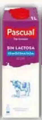 FROIZ PASCUAL Leche sin lactosa Semidesnatada oferta