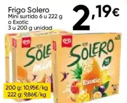 FROIZ SOLERO Frigo Mini surtido 6 u o Exotic oferta