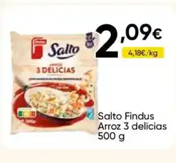 FROIZ FINDUS Salto Arroz 3 delicias oferta