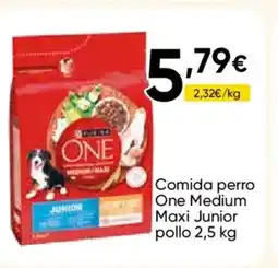 FROIZ ONE Comida perro Medium Maxi Junior pollo oferta