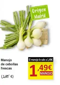 SPAR Manojo de cebollas frescas oferta