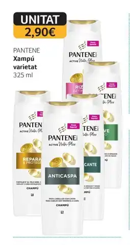 GM Cash & Carry PANTENE Xampú varietat oferta