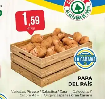 Papa del país