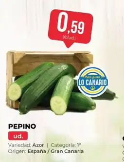 SPAR Pepino oferta