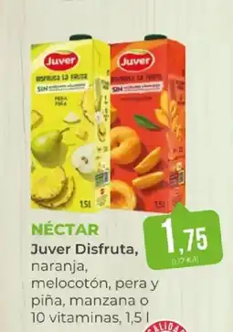 SPAR JUVER DISFRUTA Néctar oferta