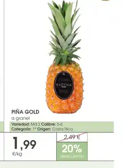 Supermercados Plaza Piña gold oferta