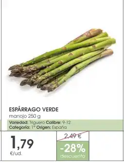 Supermercados Plaza Espárrago verde oferta