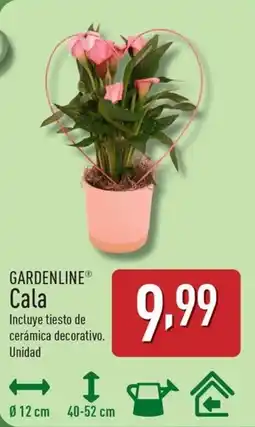 ALDI GARDENLINE Cala oferta