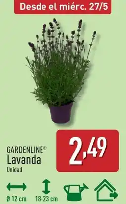 ALDI GARDENLINE Lavanda oferta