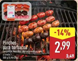 ALDI Pinchos para barbacoa oferta