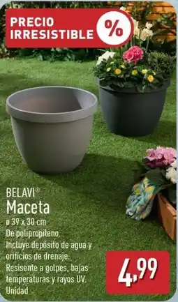 ALDI BELAVI Maceta oferta