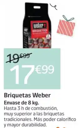 Jardiland Weber - briquetas oferta