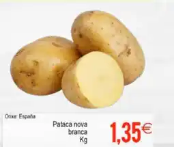 Plenus Supermercados Pataca nova branca oferta