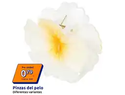 Action Pinzas del pelo oferta