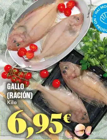 Gadis Gallo (ración) oferta