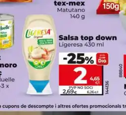 Dia LIGERESA Salsa top down oferta