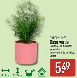 ALDI GARDENLINE Oase verde oferta
