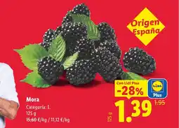 Lidl Mora oferta