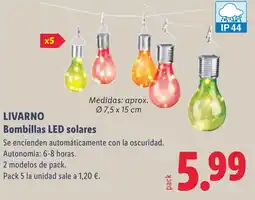 Lidl LIVARNO Bombillas LED solares oferta