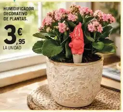 E.Leclerc Humidificador decorativo de plantas. oferta