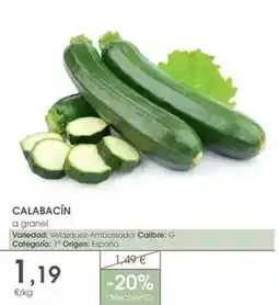 Supermercados Plaza Origen - calabacin oferta