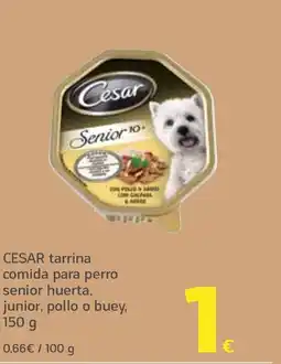 HiperDino CESAR tarrina comida para perro senior huerta, junior, pollo o buey oferta
