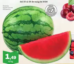 Sorli Síndria sense llavors d'Almeria oferta