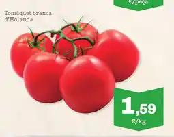 Sorli Tomàquet branca d'Holanda oferta