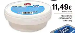 Cash Ifa TGT Queso crema creamland tarrina oferta