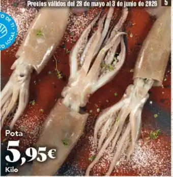 Gadis Pota oferta
