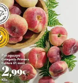Gadis Paraguayo Categoría Primera Calibre 61 mm+ oferta