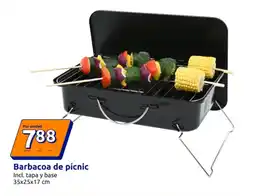 Action Barbacoa de pícnic oferta