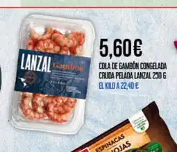 Claudio LANZAL Cola de gambón congelada cruda pelada oferta