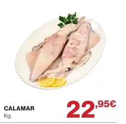 Supercor Calamar oferta