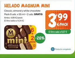 AhorraMas Helado magnum mini oferta
