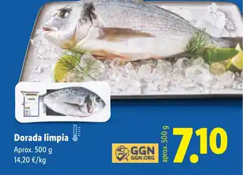 Dorada limpia