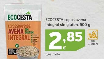 HiperDino Copos de avena integral sin gluten ecocesta oferta