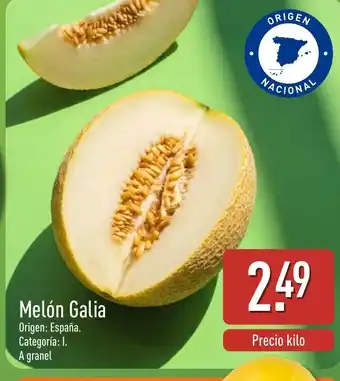 ALDI Melón Galia oferta